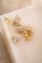 Suspensions Parfumées