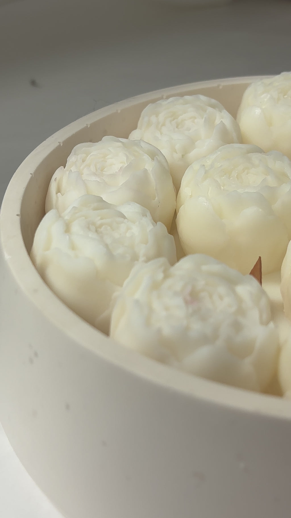 Endless Flowers - Pivoines